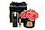 Диффузор ароматический Five Rose Peach 96СN-RB65